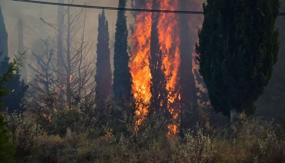 Πυρκαγιά σε εξέλιξη κοντά σε κατοικημένη περιοχή στην Αχαϊα© EUROKINISSI