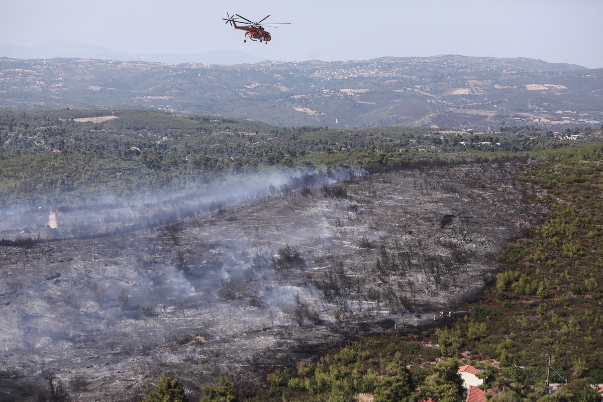 Πυροσβεστική: 57 δασικές πυρκαγιές το τελευταίο 24ωρο