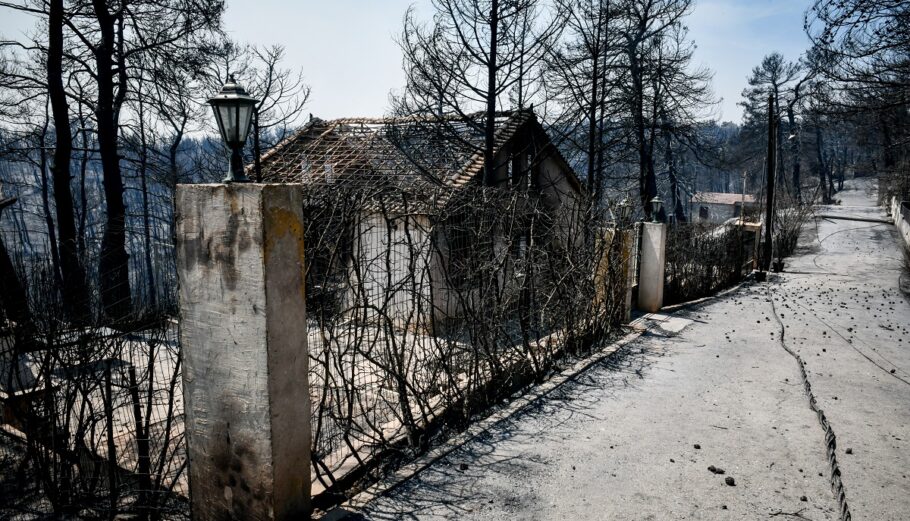 Η επόμενη μέρα από την καταστροφική πυρκαγιά στην Β.Α Αττική © Eurokinissi