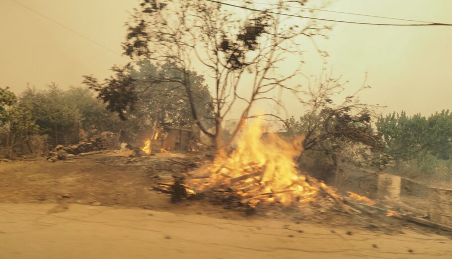 Το τελευταίο 24ωρο εκδηλώθηκαν στη χώρα 39 δασικές πυρκαγιές