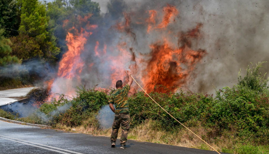 Πυρκαγιά στην Ηλεία Πηγή: eurokinissi