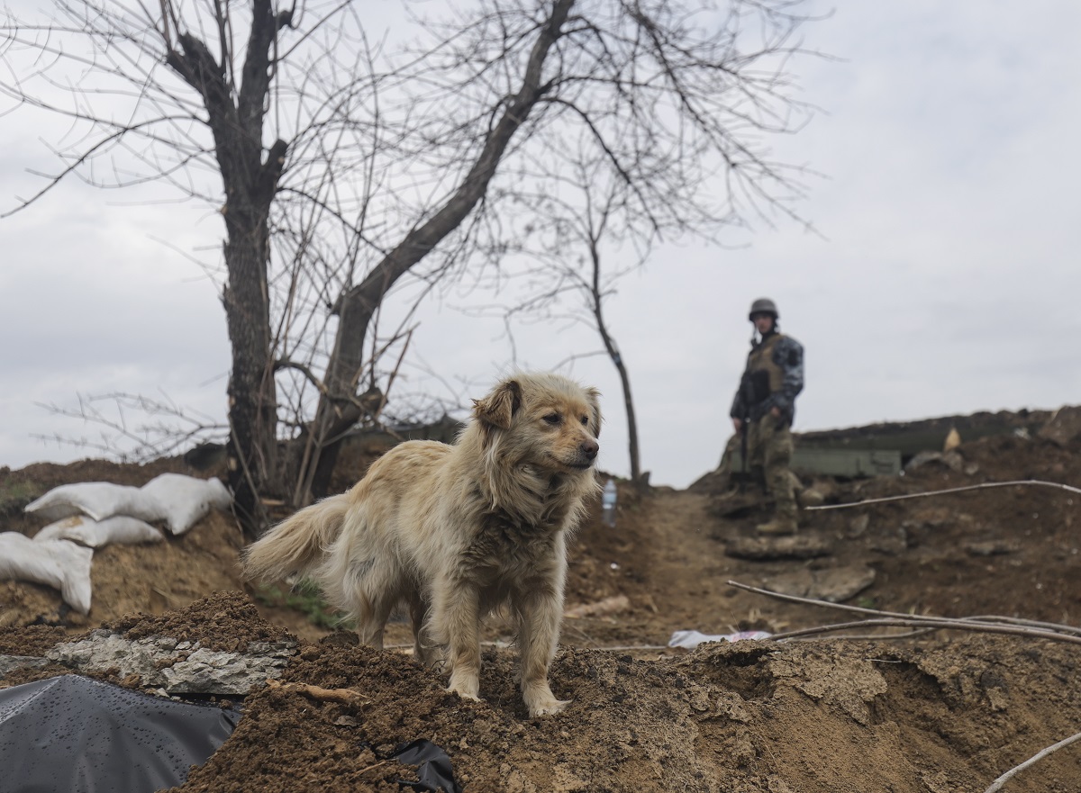 Πόλεμος στην Ουκρανία ©EPA/STR