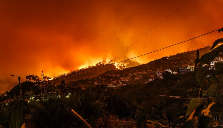 Πυρκαγιές στην Πορτογαλία © Unsplash