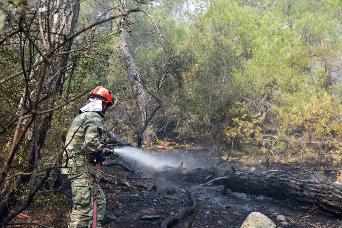 Πυρκαγιά στον Έβρο – Εκκένωση τριών περιοχών