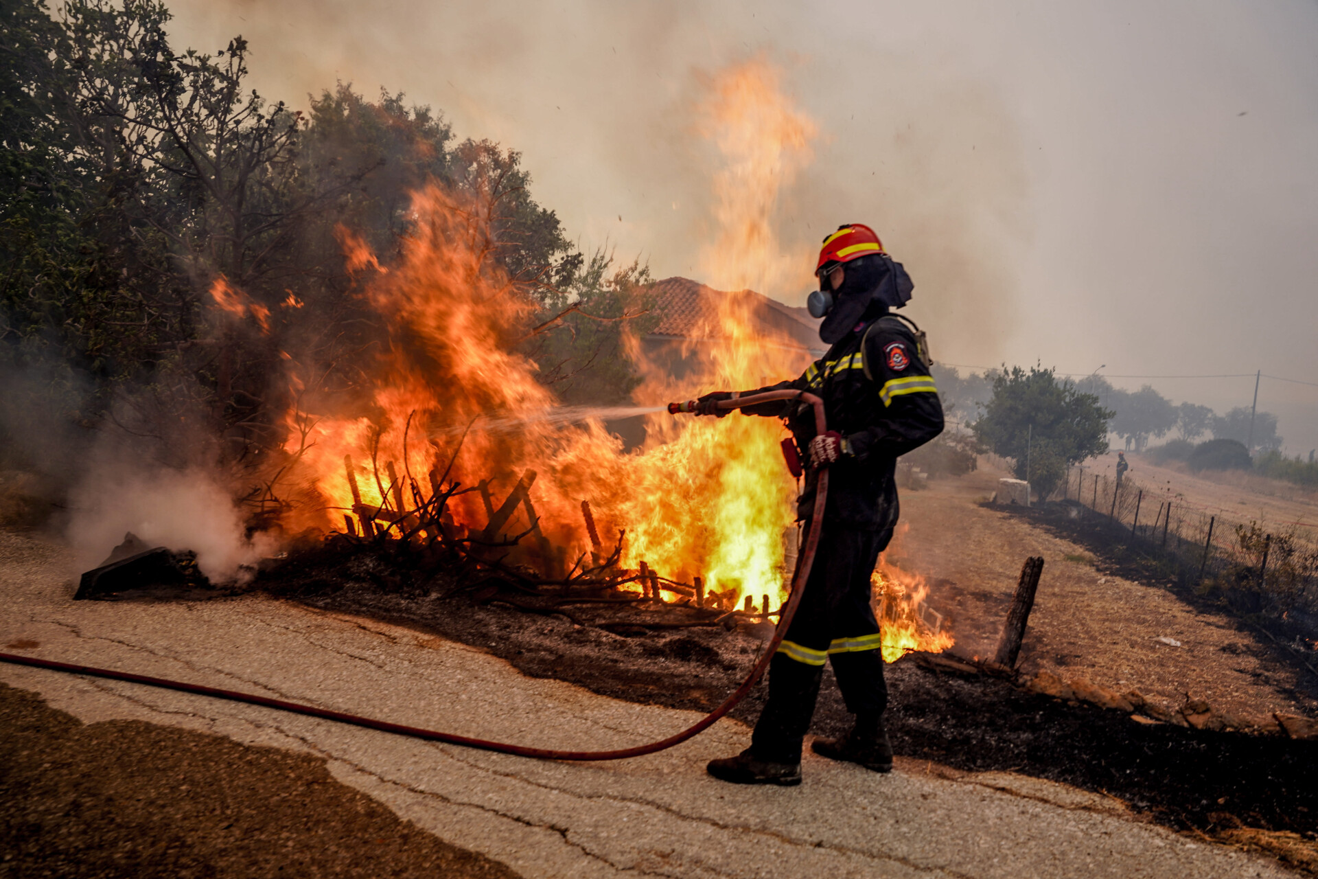 Πυρκαγιά στη Λέσβο, στην περιοχή Ρογκάδα των Βατερών © Eurokinissi