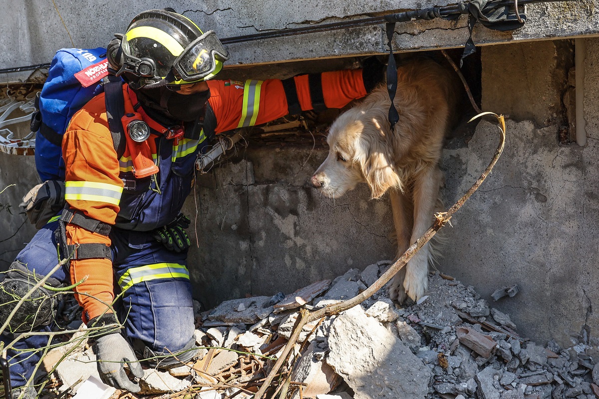Σεισμός στην Τουρκία - Διάσωση σκύλου © EPA/JOAO RELVAS
