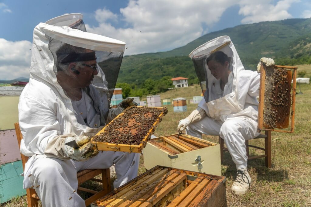 ΔΥΠΑ: Νέο πρόγραμμα κατάρτισης ανέργων στη μελισσοκομία