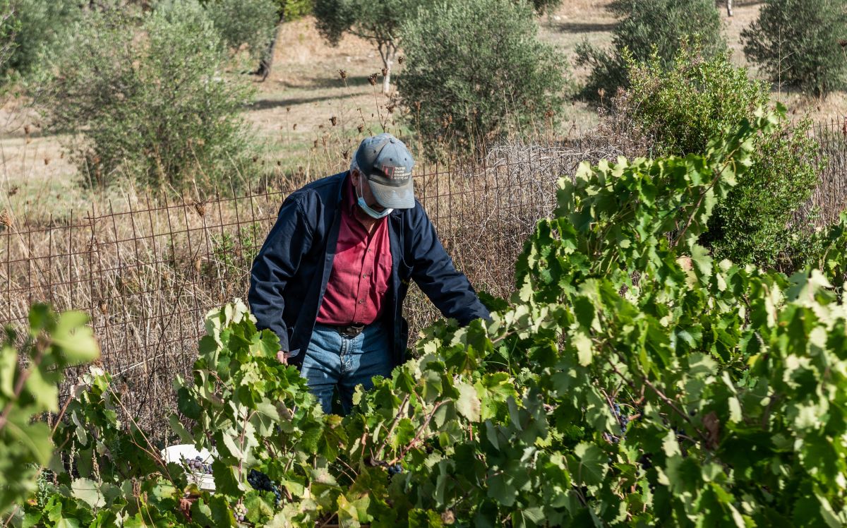 Συλλαλητήριο αγροτών στο Μαξίμου – Ζητούν ενισχύσεις