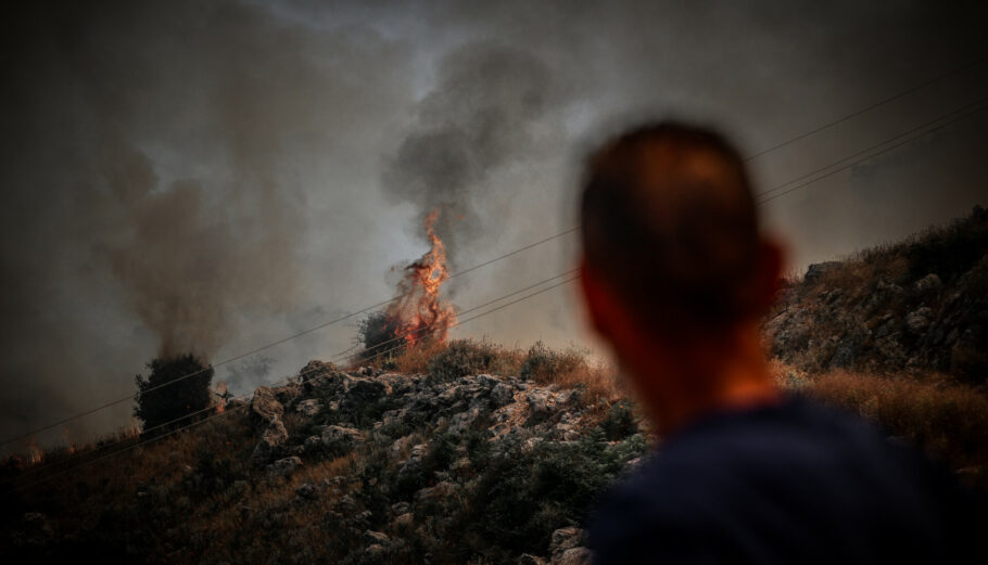 Πυρκαγιά στην Βόρεια Κέρκυρα © Εurokinissi