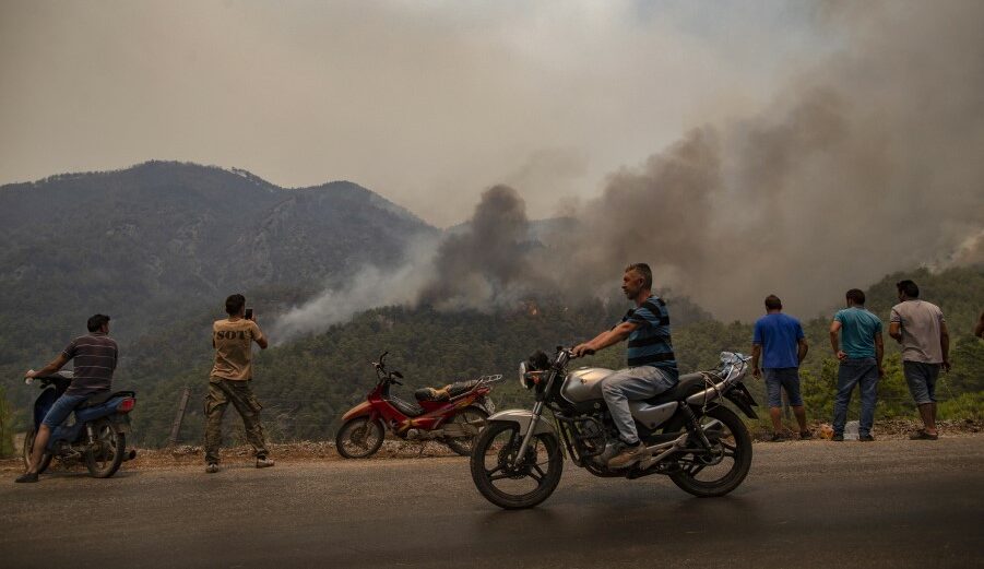 Δασική πυρκαγιά © EPA/ERDEM SAHIN