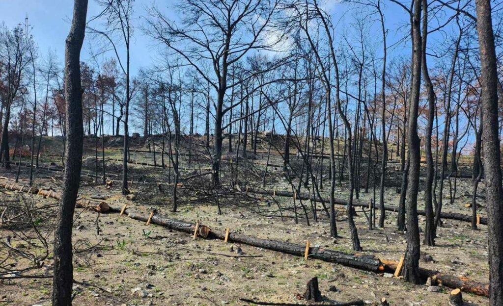 ΥΠΕΝ: Πρόοδος σε αντιδιαβρωτικά έργα σε Δυτική Αττική, Πάρνηθα