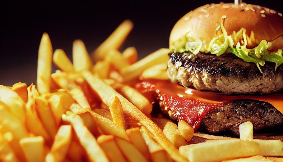 Τηγανητές πατάτες και burger © Pixabay