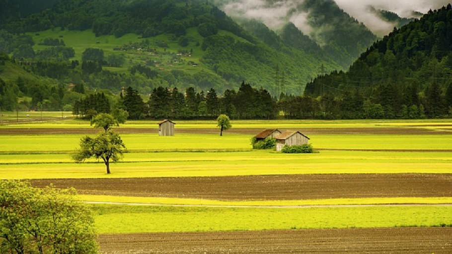 Δανία αγρόκτημα@pixabay
