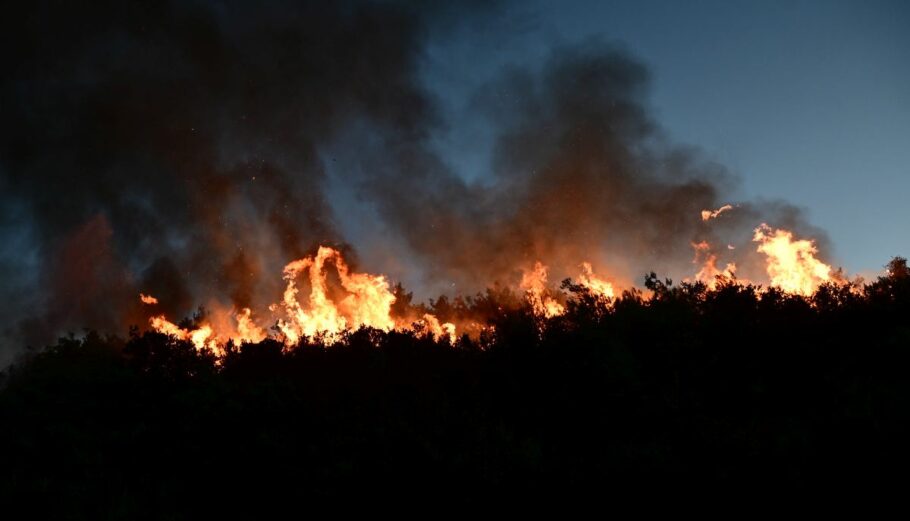 Πυρκαγιά στην Σταμάτα Αττικής © EUROKINISSI / ΜΙΧΑΛΗΣ ΚΑΡΑΓΙΑΝΝΗΣ