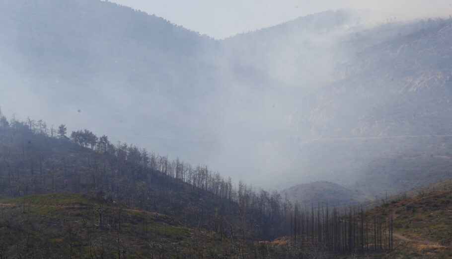 Πυρκαγιά στην περιοχή Κατσιμίδι στους πρόποδες της Πάρνηθας σε δασική έκταση@eurokinissi