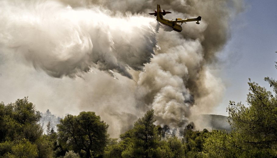 Canadair επιχειρεί σε δασική πυρκαγιά © EPA/VASSILIS PSOMAS