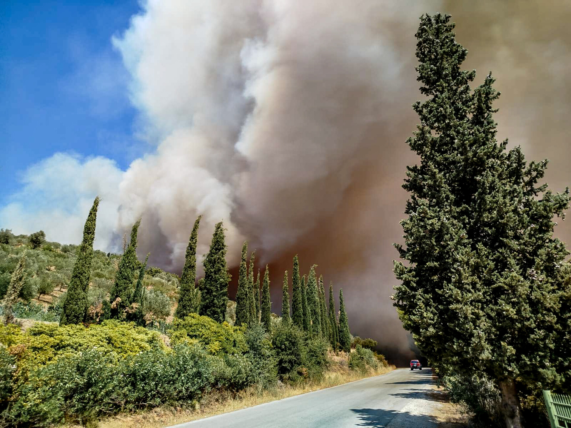 Μεγάλη πυρκαγιά το μεσημέρι της Δευτέρας στην Εύβοια ανάμεσα στο χωριά Πετριές και Κριέζα σε δασική έκταση © Eviathema.gr / EUROKINISSI