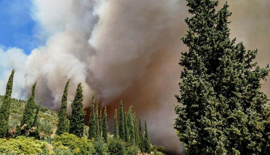 Η φωτιά στις Πετριές Ευβοίας © Eurokinissi
