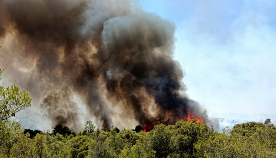 Πυρκαγιά στο Σοφικό Κορινθίας © ΑΠΕ-ΜΠΕ/ΒΑΣΙΛΗΣ ΨΩΜΑΣ