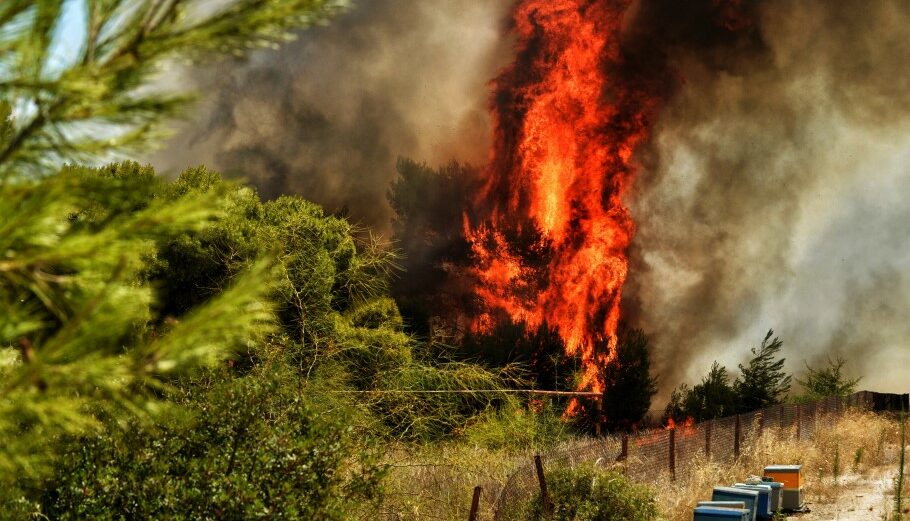 Δασική πυρκαγιά © EPA/VASSILIS PSOMAS
