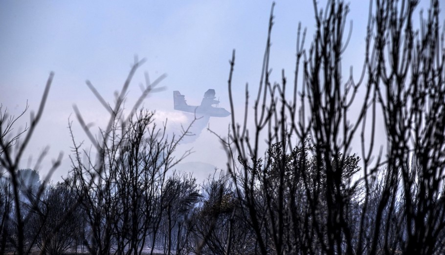 Πυροσβεστικό αεροσκάφος Canadair επιχειρεί σε δασική πυρκαγιά © EPA/MASSIMO PERCOSSI