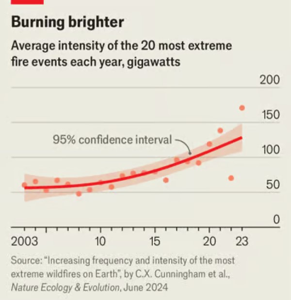 © THE ECONOMIST