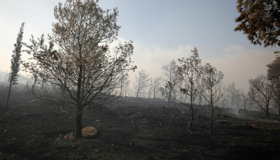 Φωτιά στη βορειοανατολική Αττική, περιοχή Πεντέλης © ΙΝΤΙΜΕ / ΚΑΜΣΗΣ ΔΗΜΟΣΘΕΝΗΣ