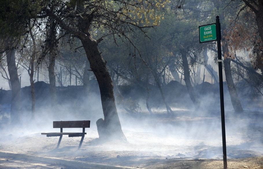 Στάχτη και αποκαΐδια στην Πεντέλη μετά τη φωτιά © ΙΝΤΙΜΕ/ΝΙΚΟΣ ΧΑΛΚΙΟΠΟΥΛΟΣ