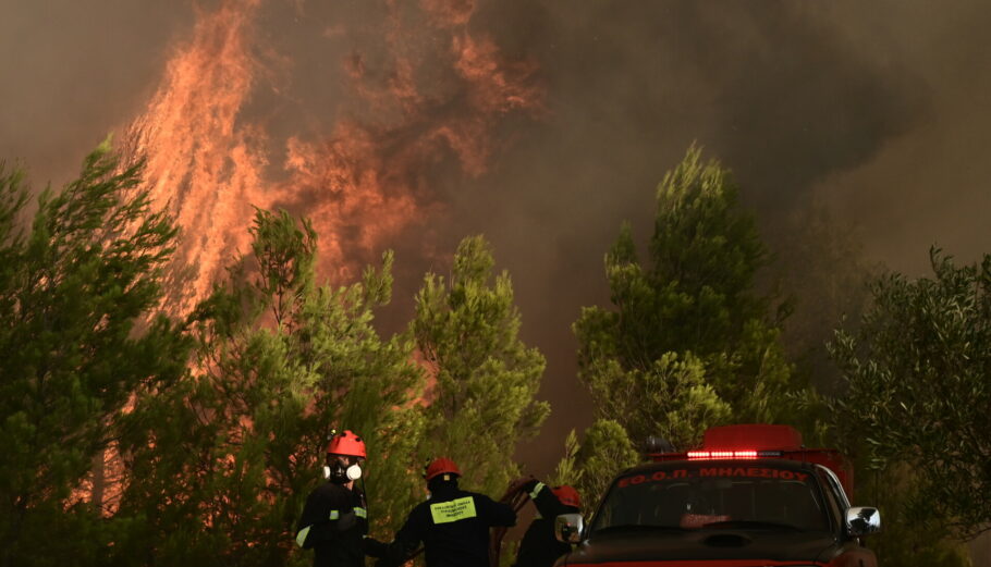 Πυρκαγιά στον Βαρνάβα Αττικής © Eurokinissi