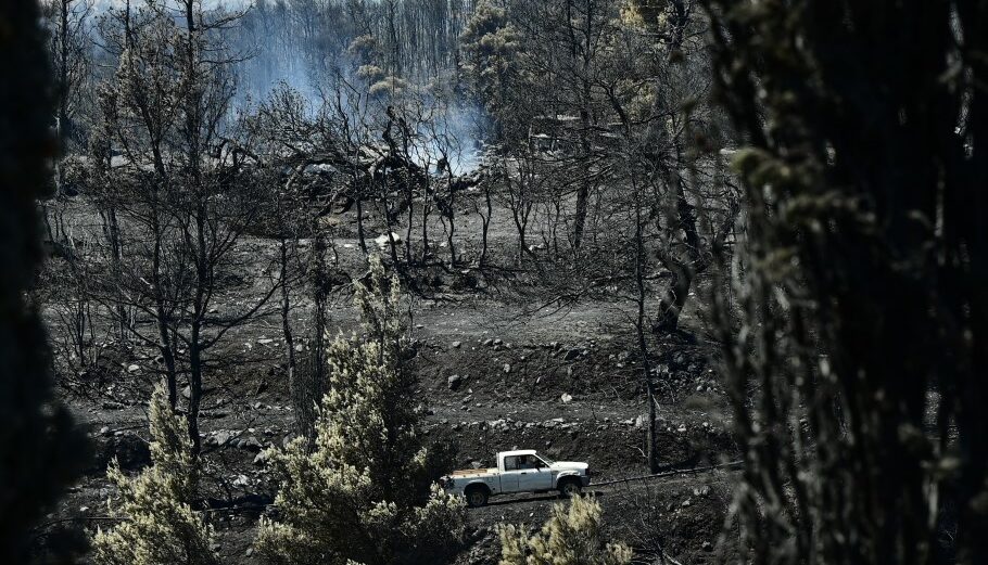 Καμένη γη στον Βαρνάβα Αττικής μετά τη μεγάλη φωτιά © EUROKINISSI/ΜΙΧΑΛΗΣ ΚΑΡΑΓΙΑΝΝΗΣ