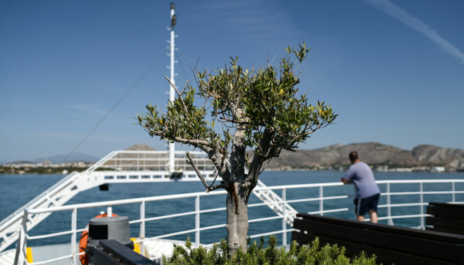 Γραμμή Πέραμα-Σαλαμίνα © ΜΙΧΑΛΗΣ ΚΑΡΑΓΙΑΝΝΗΣ/EUROKINISSI