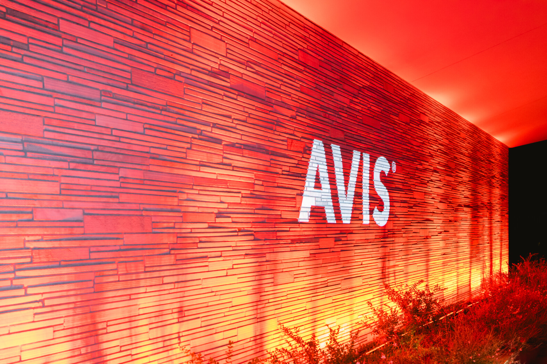 Στιγμιότυπο από το event της Avis © Avis