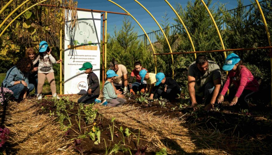 ΔΕΗ και Open Farm μαθαίνουν σε μαθητές τη βιώσιμη γεωργία