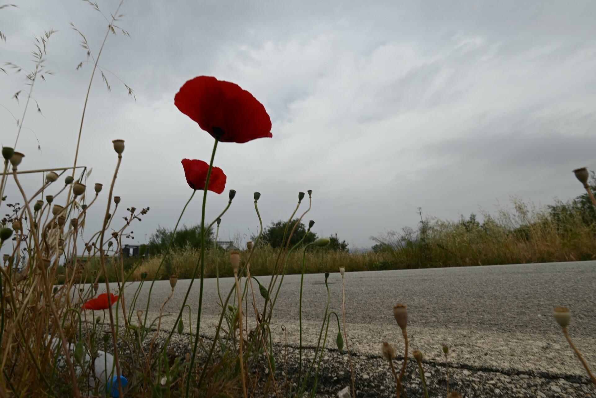 Καιρός: Λασποβροχές και αφρικανική σκόνη